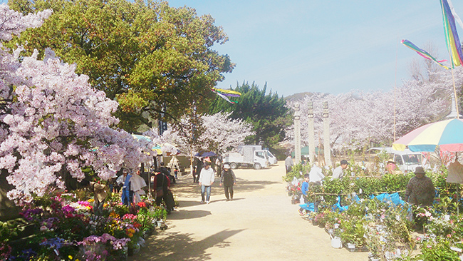 写真:中山観音式(花の四日)